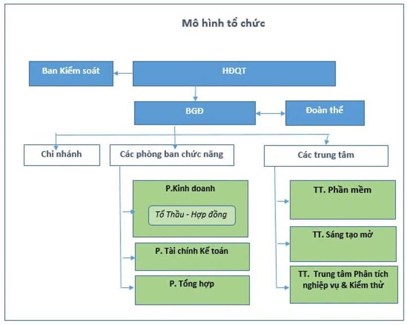 Mô hình tổ chức